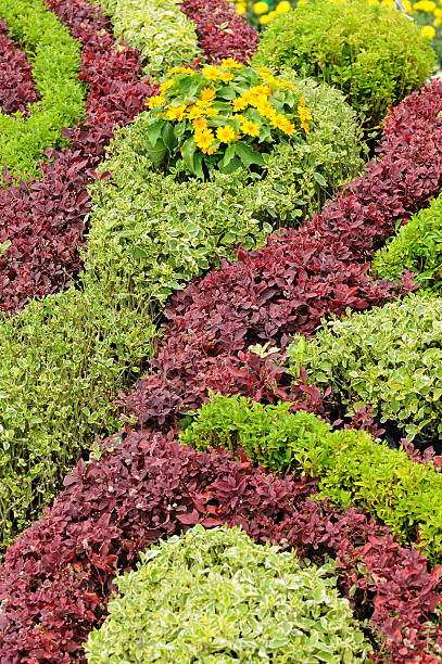 istock Beautiful color bush for background. 598240130