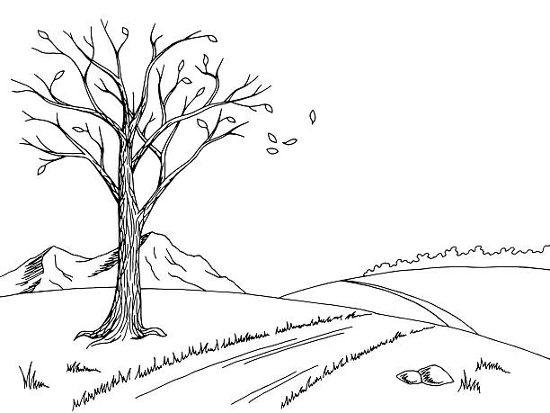 illustrations, cliparts, dessins animés et icônes de vieil arbre automne graphique noir blanc paysage dessin illustration vecteur - autumn street single lane road tree