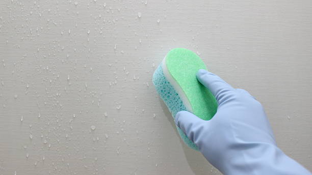 istock Hand cleaning the bathroom wall with sponge. 598242304