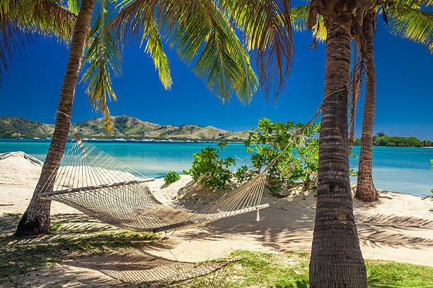 istock Hammock in the shade of palm trees on a beach 598245734