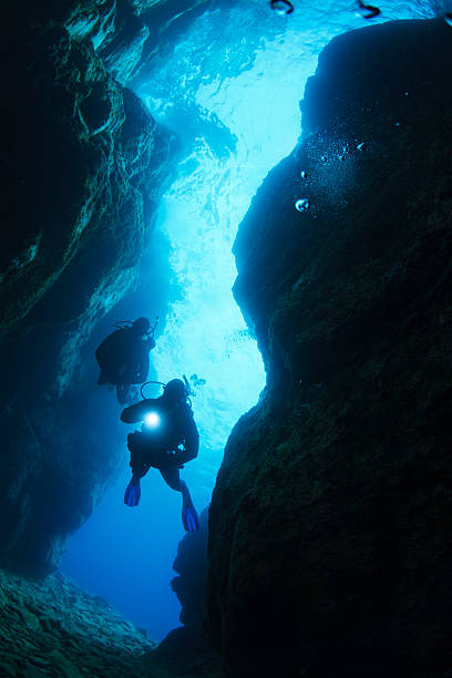 istock Underwater  Scuba diving   Explore reef   Sea life  Team scuba divers 598246876