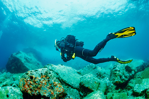 Woman freediver in white swimwear dive and exploring sea life. Freediving in tropical blue ocean