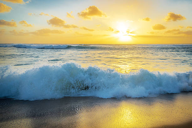 istock Golden sunset and a crashing wave 598247358