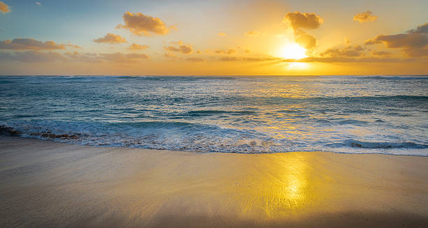 istock Golden sunset as a rolls onto shore 598247448