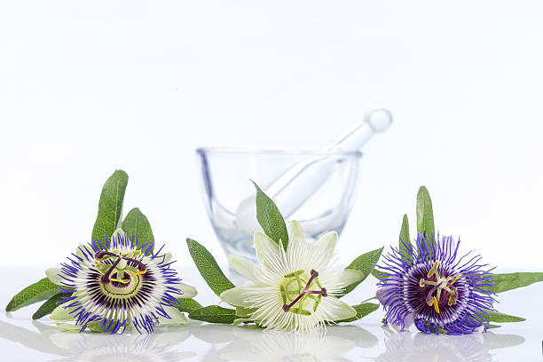 three coulored passion flower with mortar stock photo