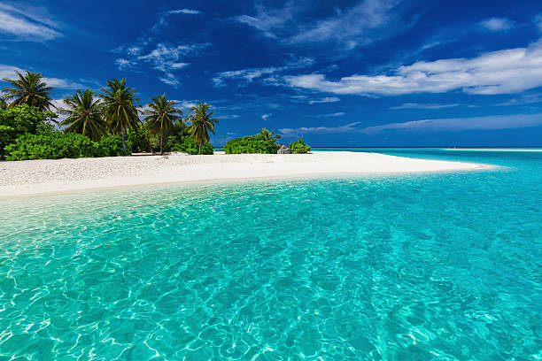 white sandy tropical beach with palm trees and blue lagoon - horizon over water white green blue imagens e fotografias de stock