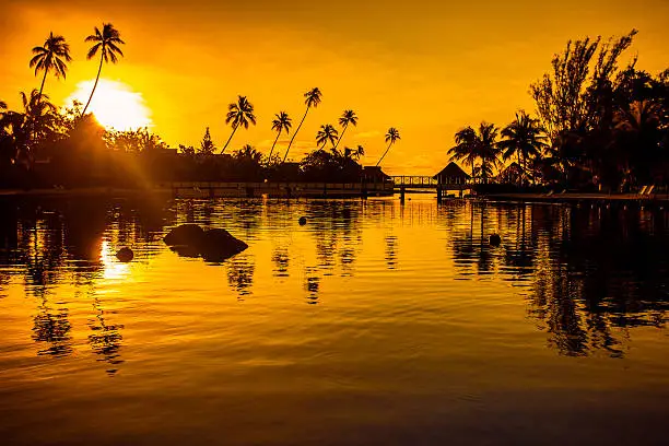 Sunset in a tropical paradise with palm trees and ocean