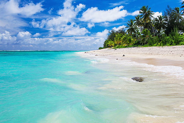istock Tropical beach with rocks, palm trees and amazing water 598251674
