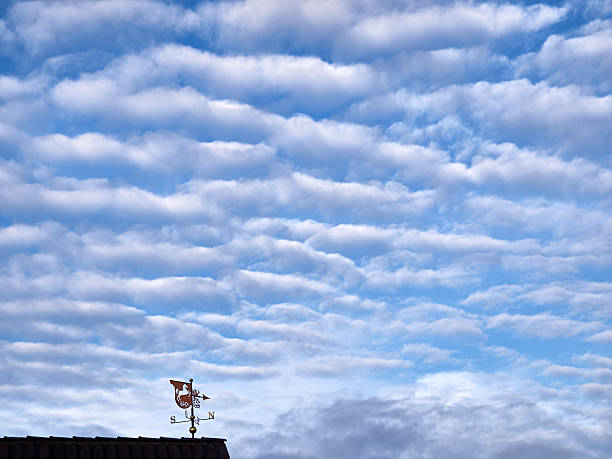 Weather vane on a roof on a cloudy morning