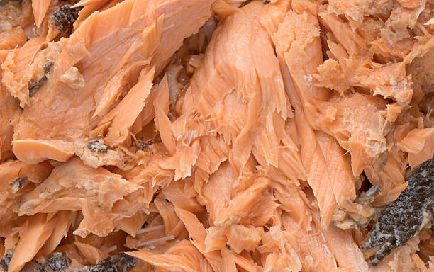 тихоокеанский розовый лосось близкий вид - pacific salmon стоковые фото и изображения