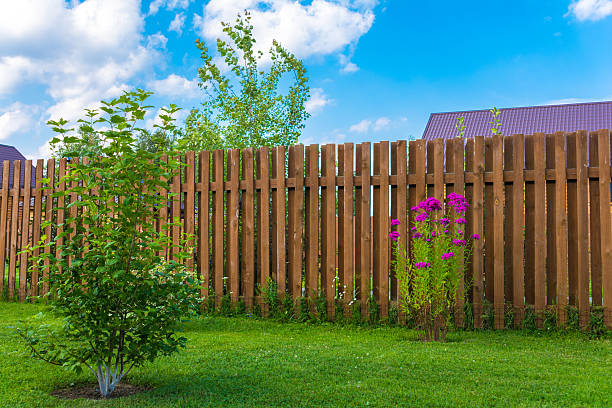 istock Wooden fence 598257860