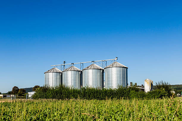 istock four silver silos in field under   blue sky 598258560