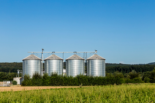 four silver silos in field under bright blue sky