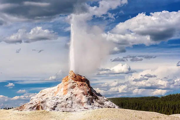 Photo of Yellowstone Castle Geyser, Wyoming