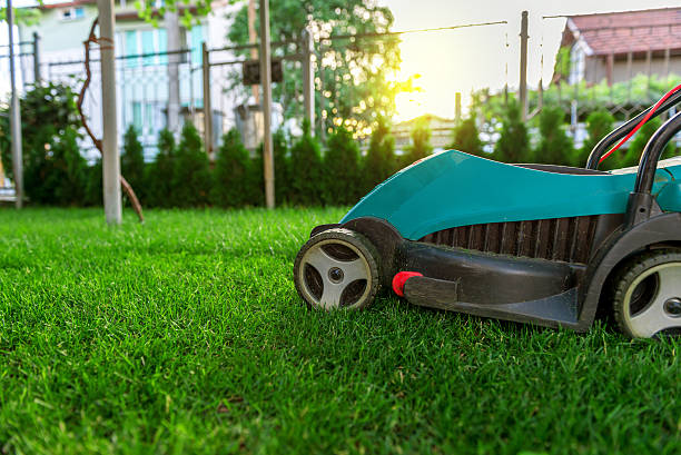istock Cutting the grass with electric lawn mower 598261088