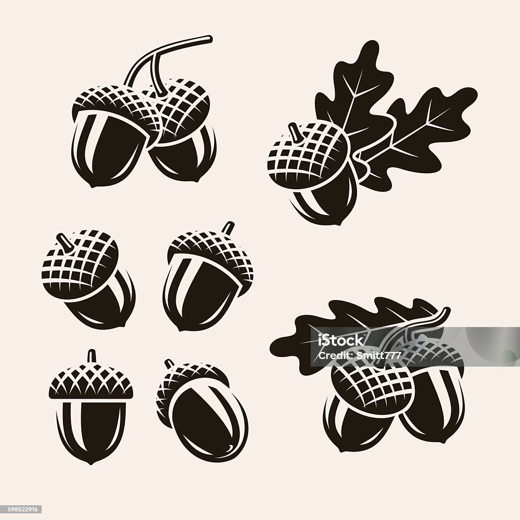 Acorns set. Vector Collection acorns set, edit size and color, vector Acorn stock vector