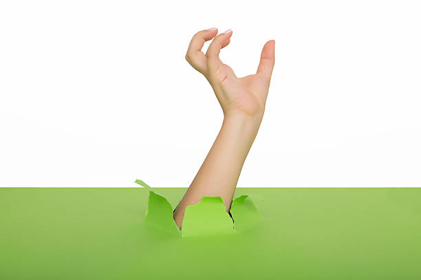 istock Female hand reaching through torn green paper sheet 598523418