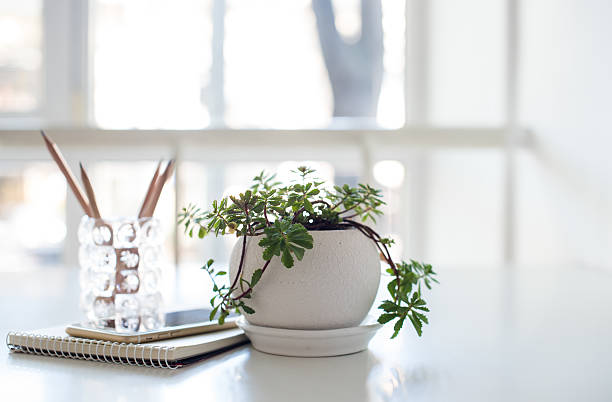 istock Home plant, business notepad and smartphone in backlight 598523754
