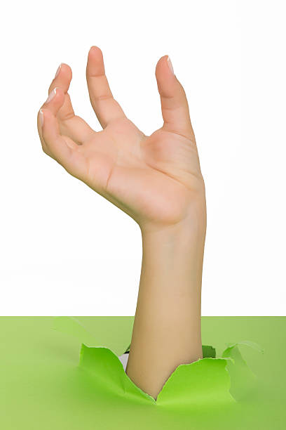 istock Female hand reaching through torn green paper sheet 598523962