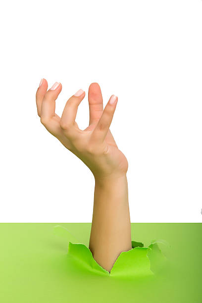 istock Female hand reaching through torn green paper sheet 598524090