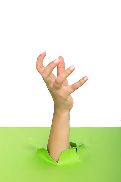 istock Female hand reaching through torn green paper sheet 598524340