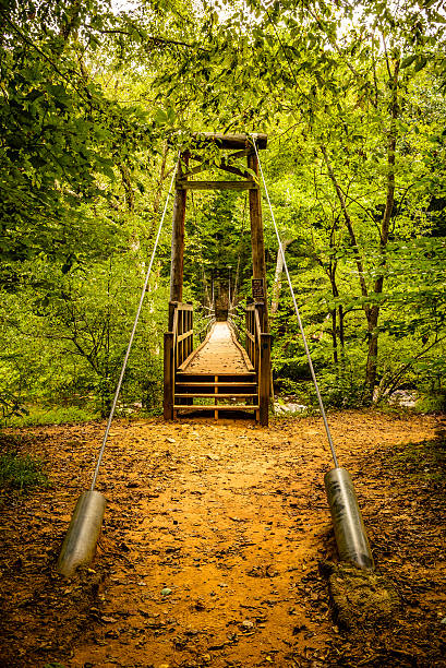 Wood hanging bridge at Eno River Wooden hanging bridge at Eno River in Durham, north Carolina. This is a beautiful nature Park having several hiking trails below a thick vast forest of trees mainly oak, maple and evergreens. While hiking on the trails, one would enjoy the various scenery, wildlife and the beautiful sound of birds. This is one of the best natural parks of the city, just few miles away from Duke University. eno river stock pictures, royalty-free photos & images