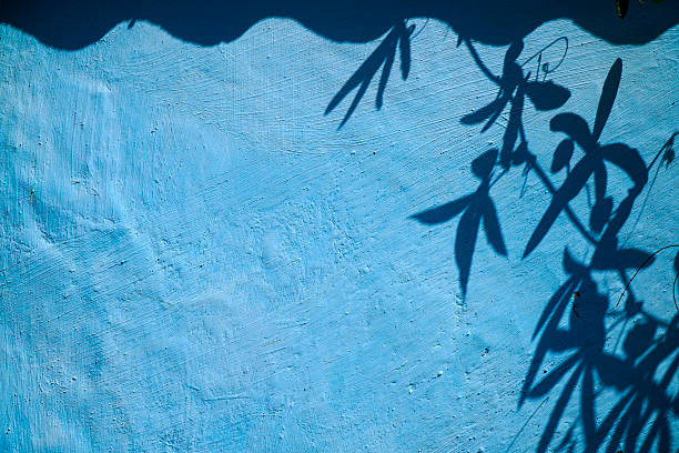 istock Ivy Leaves Shadows on Blue Wall 598529898