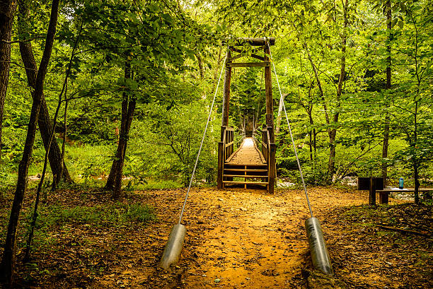 Hanging bridge at Eno River State Park Wooden hanging bridge at Eno River in Durham, North Carolina. This is a beautiful nature Park having several hiking trails below a thick vast forest of trees mainly oak, maple and evergreens. While hiking on the trails, one would enjoy the various scenery, wildlife and the beautiful sound of birds. This is one of the best natural parks of the city, just few miles away from Duke University. eno river stock pictures, royalty-free photos & images