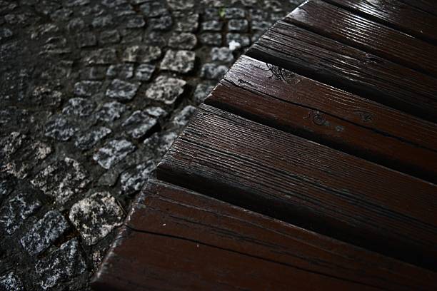 A green wooden bench. Park in the center of Krakow. Planty. No people.