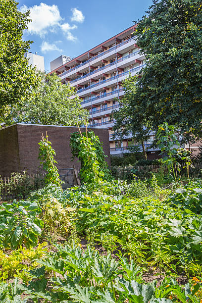 istock Urban agriculture: a vegetable garden beside an apartment buildi 598535714
