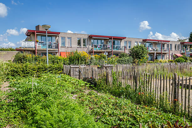 istock Urban agriculture: a vegetable garden beside an apartment buildi 598536102