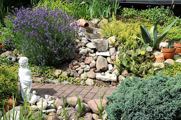 istock Lavandula angustifolia in the rock garden, Germany 598538392
