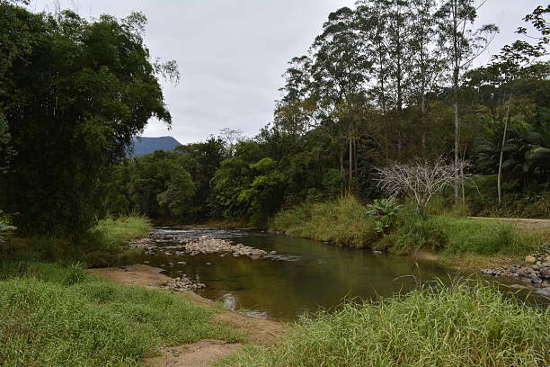 istock Rural Landscape with River, tree and montain 598538446