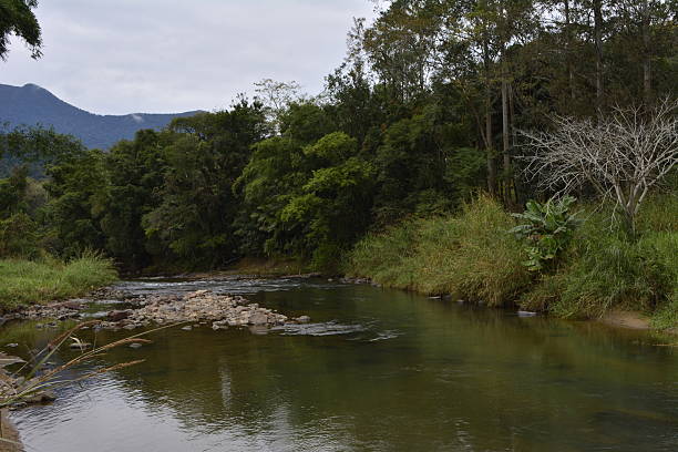 istock Rural Landscape with River, tree and montain 598538748