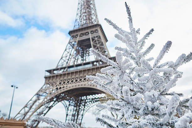 istock Christmas tree covered with snow near the Eiffel tower 598539292