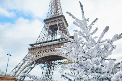 Christmas tree covered with snow near the Eiffel tower in Paris, France