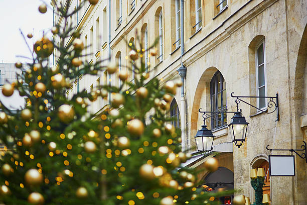 Street in Paris decorated with Christmas