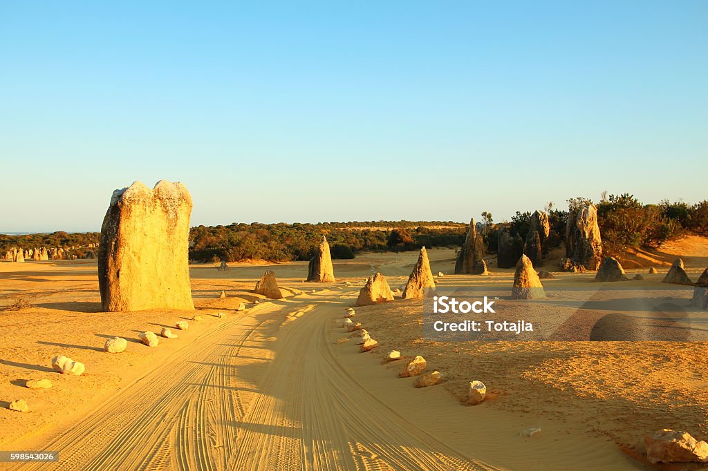 Pinnacles Desert en Australie - Photo de Aiguille rocheuse libre de droits