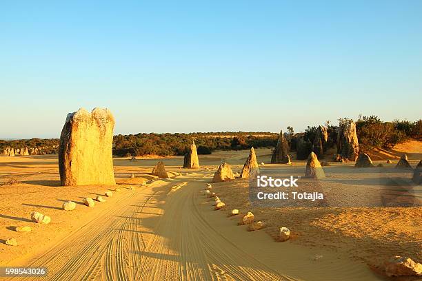 Photo libre de droit de Pinnacles Desert En Australie banque d'images et plus d'images libres de droit de Aiguille rocheuse - Aiguille rocheuse, Australie, Australie occidentale