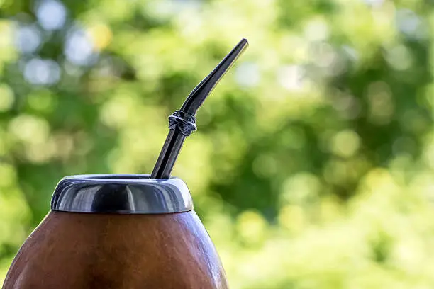 Yerba mate in gourd matero on green bokeh background. image with copy space