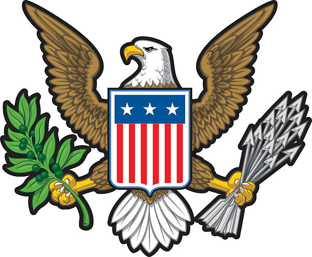 ilustraciones, imágenes clip art, dibujos animados e iconos de stock de american eagle  - bald eagle