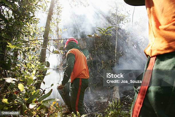 Photo libre de droit de Feu De Forêt Brigadista banque d'images et plus d'images libres de droit de Horizontal - Horizontal, Photographie