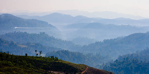 istock Landscape misty panorama in Sri Lanka. 598552486