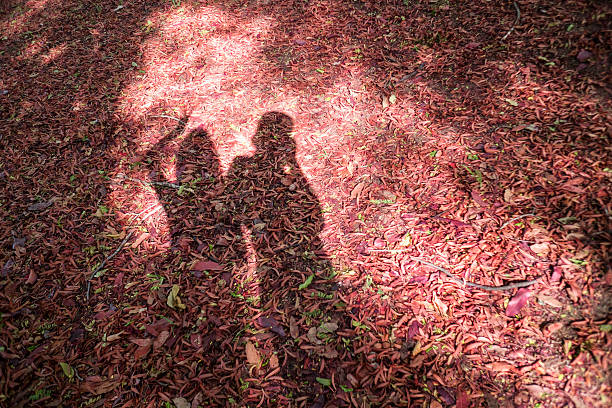 istock man and girl shadow on a dry leave,love concept 598553052