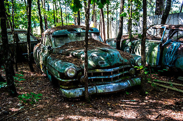 istock Derelict Classic American Cars 598556132