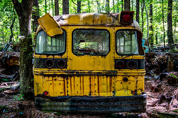 istock Derelict Classic American Cars 598556808