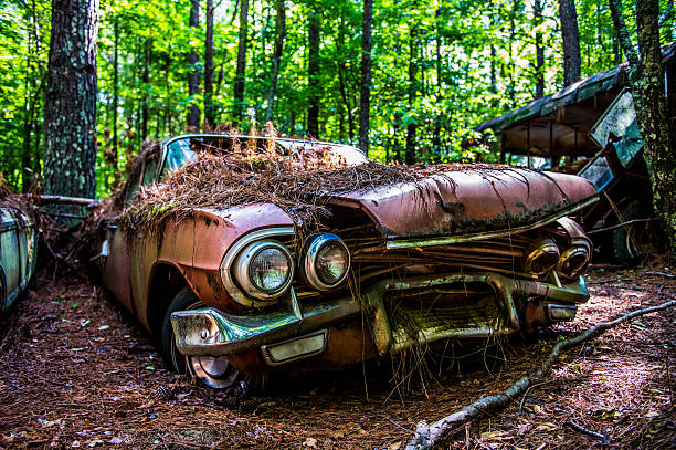 istock Derelict Classic American Cars 598557398