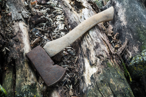 An old rusty hatchet on a pile of firewood.