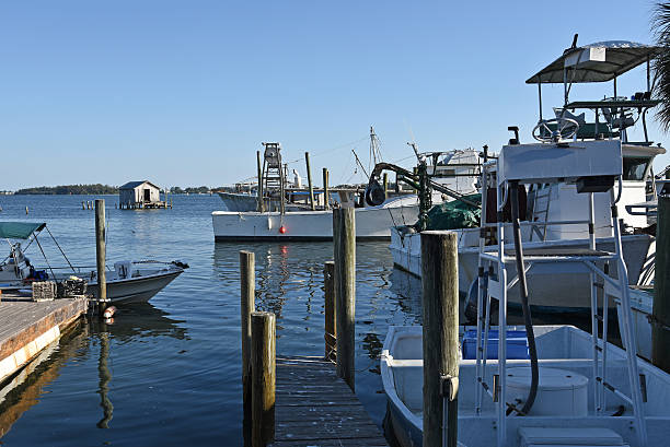 istock Fishing Boats at Marina 598561564