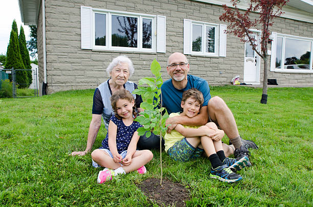 famille plantant un arbre sur la cour avant - tree grass family human relationship family photos et images de collection